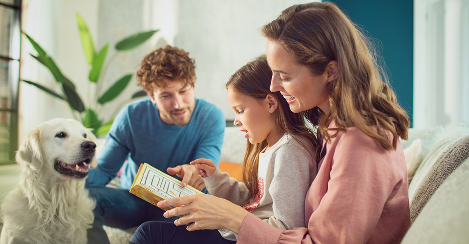 Praktiska råd för att reducera husdjursallergen: Råd för att lindra din allergi